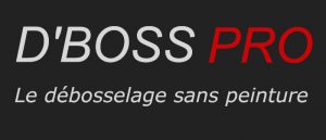 Logo Dboss Pro